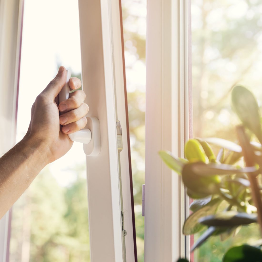 Une personne ouvre une fenêtre d'appartement à côté d'une plante verte